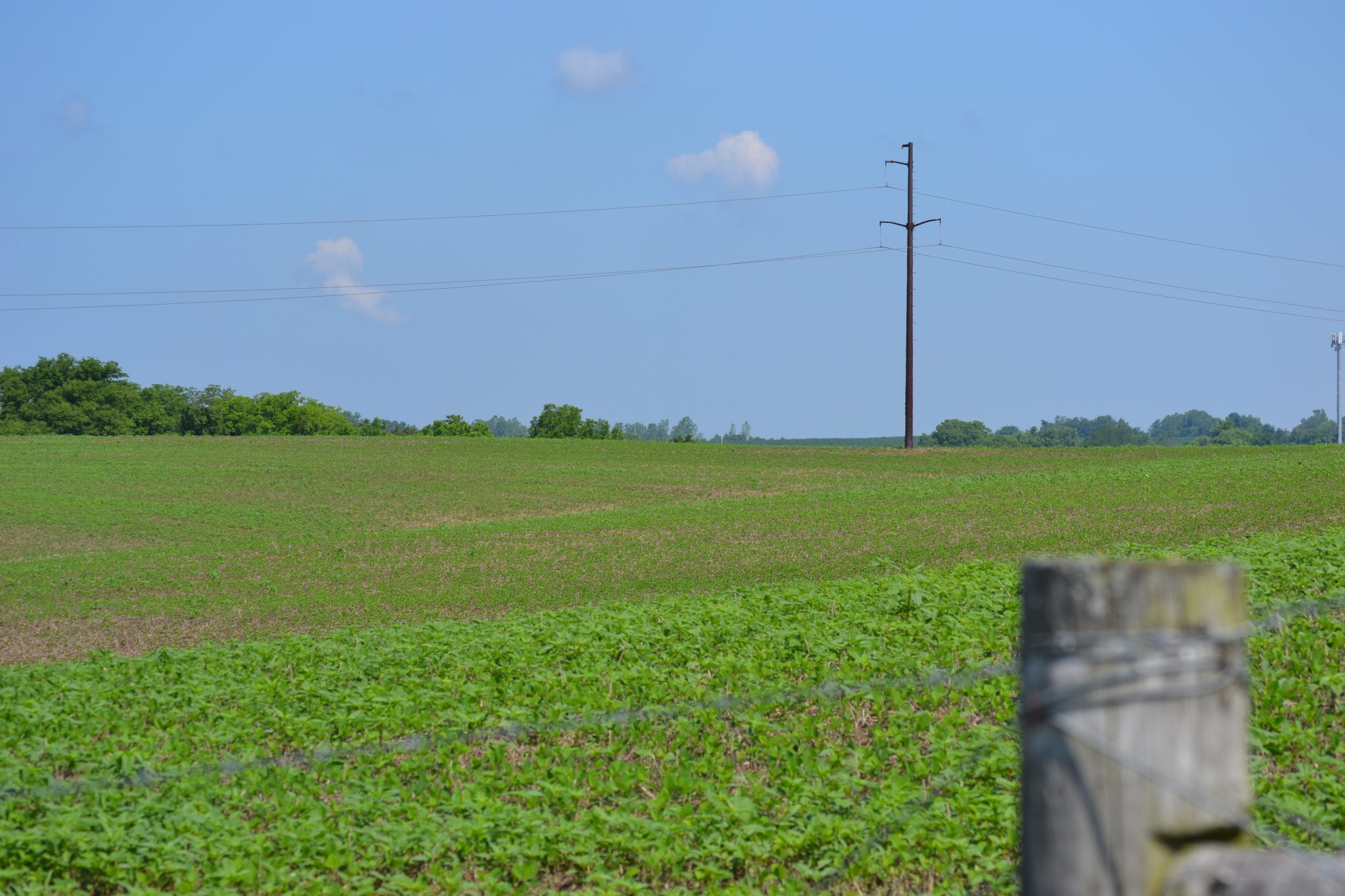 Kvcrops Wabash Valley Power Alliance